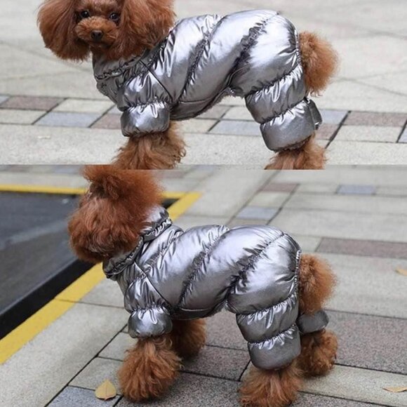 Dog snowsuit / winter coat - Picture 2 of 6